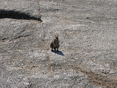 CairnsTC119 Granite Gorge